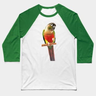 Green Cheek Conure Parrot Bird design | Green cheek | Love for birds Baseball T-Shirt